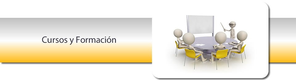 Cursos y  formación